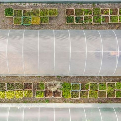 Polytunnels