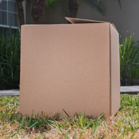 Cardboard box on lawn