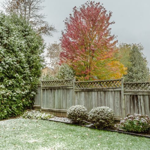 Backyard in late fall/early winter covered in frost