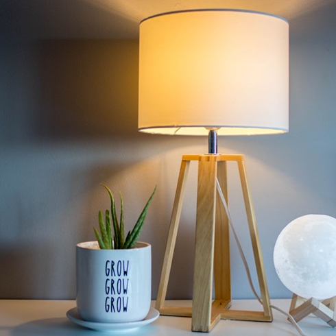 Soft table lamps and a plant on a dresser