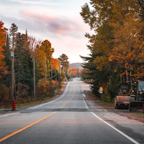 long country road during autumn with orange, yellow and red leaves