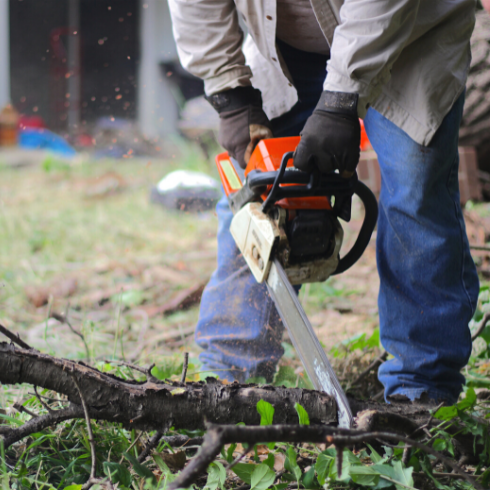 Man cutting a large fallen branch with a chainsaw