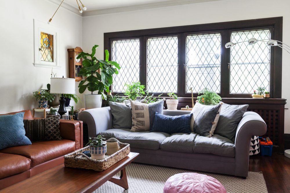 Leaded glass black framed window living room with plant in corner.