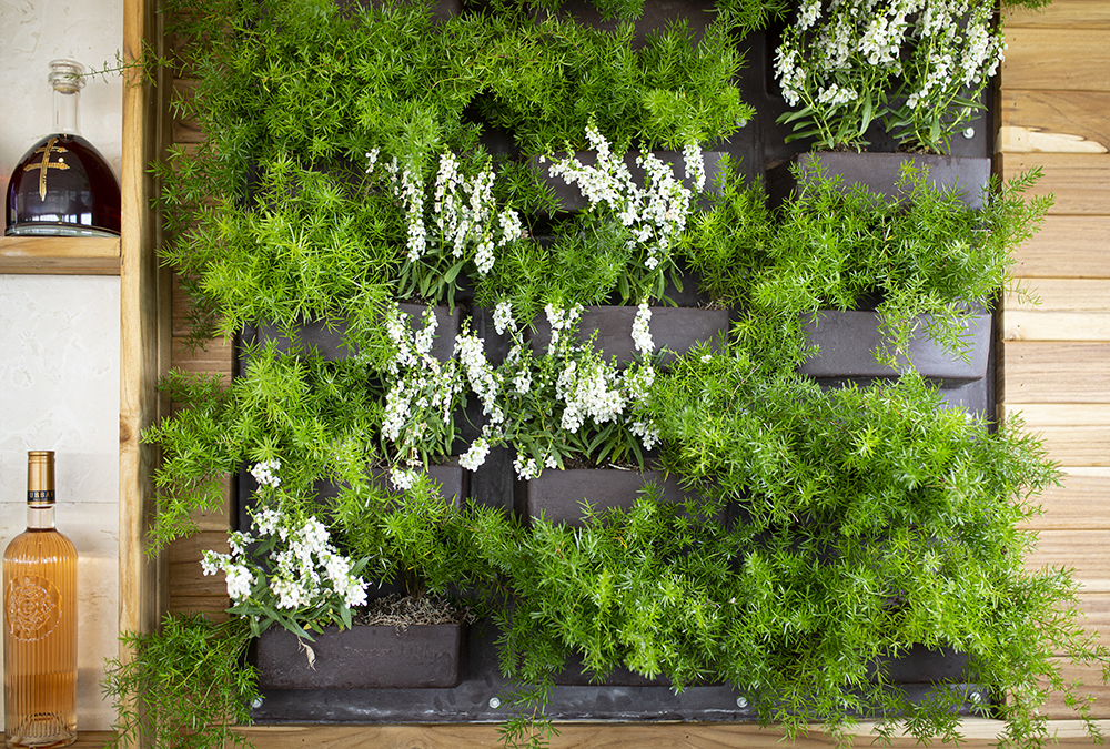 a living wall