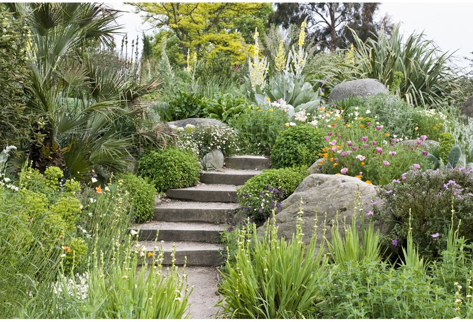 Overgrown garden with stone steps and paths