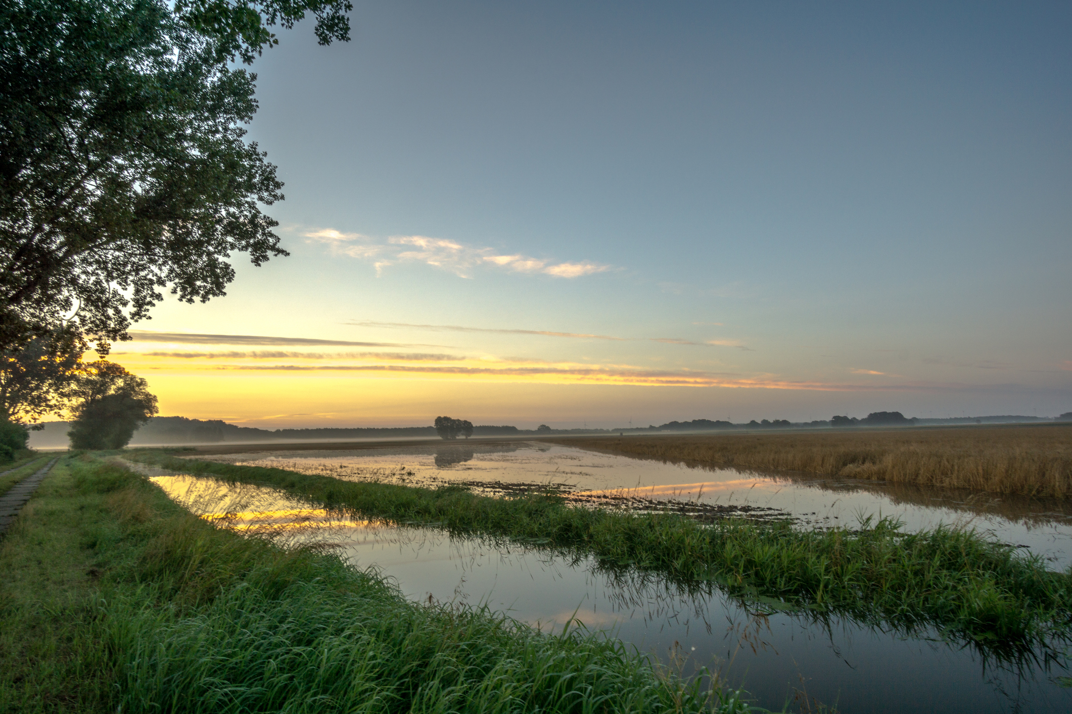 Flooded field