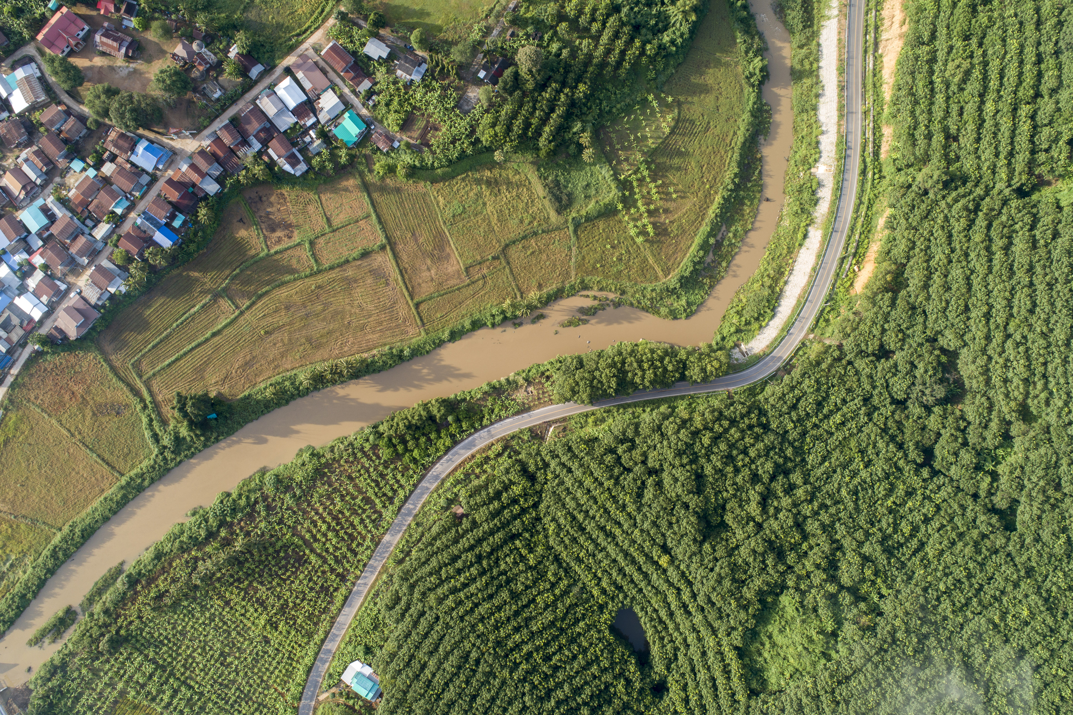 Aerial view country village.