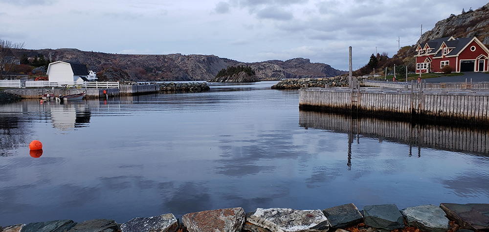 An outword looking view of Brigus Bay from a residential area.