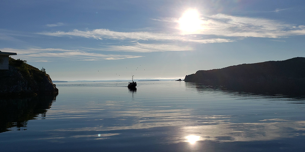 Fishing boat entering Brigus Harbour.