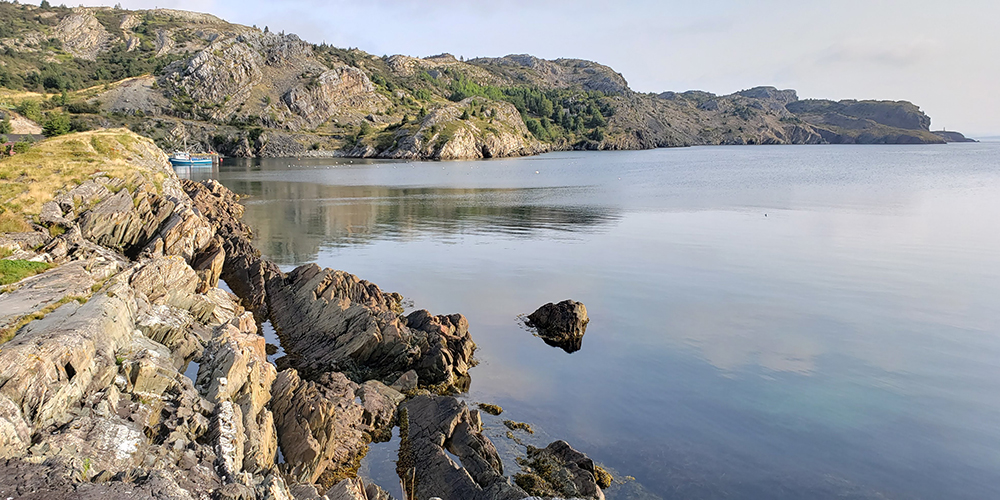 Looking across Brigus Bay over the rocky coast