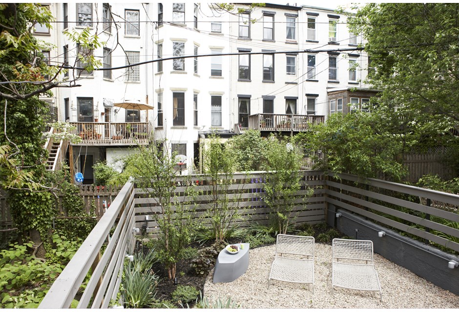 Plants growing in an urban garden