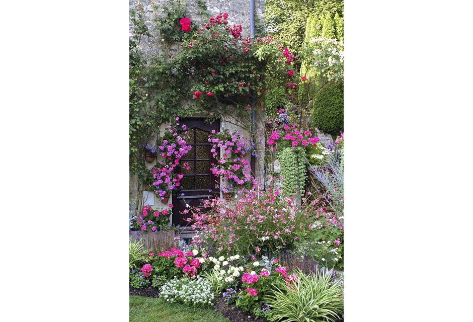 A variety of bright flowers growing up the side of the house