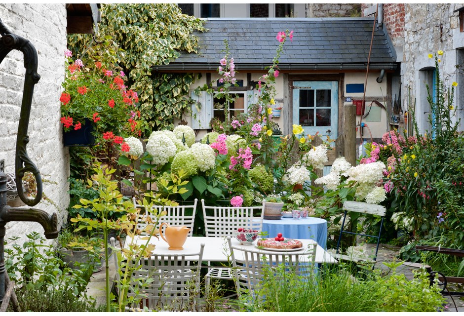 Colourful, vibrant overgrown flowers in a backyard garden