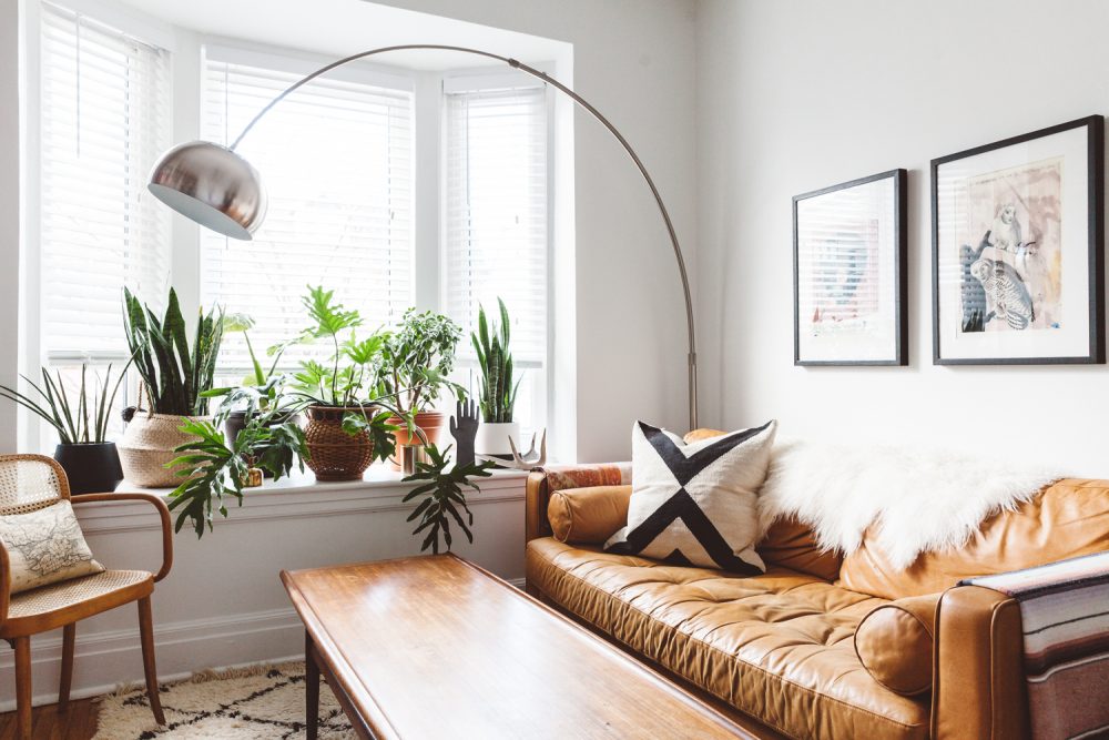 bay window filled with potted plants by caramel leather sofa