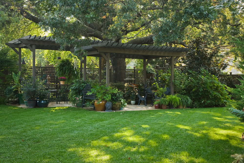 A tidy backyard