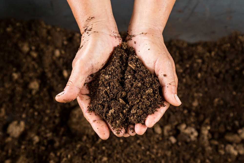 Hands holding compost