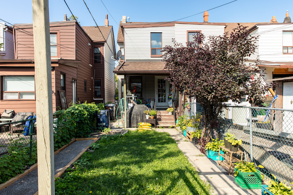 exterior of backyard before with chain-link fence