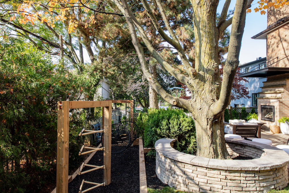 outdoor play space and tree in backyard