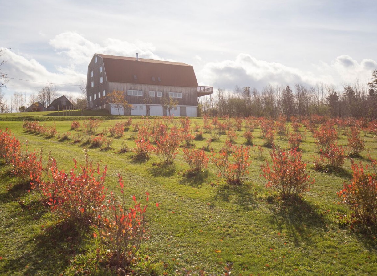 Bear River Barn: Bear Island, NS