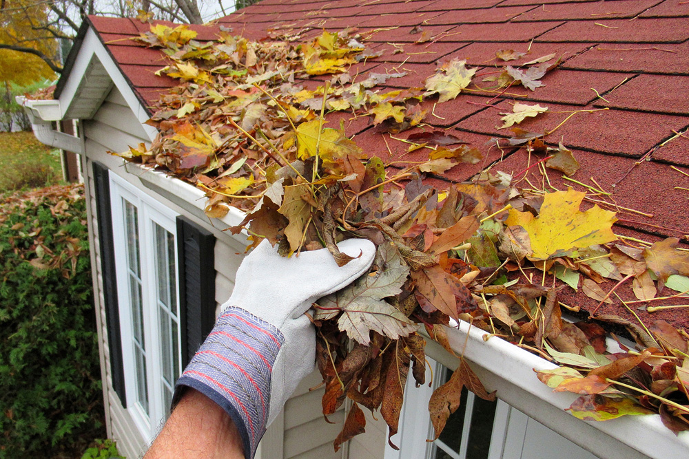 Cleaning the gutters