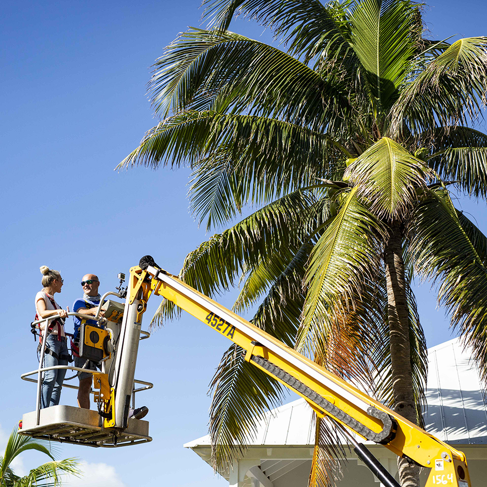 Bryan and Sarah Baeumler in a lift picking coconuts.