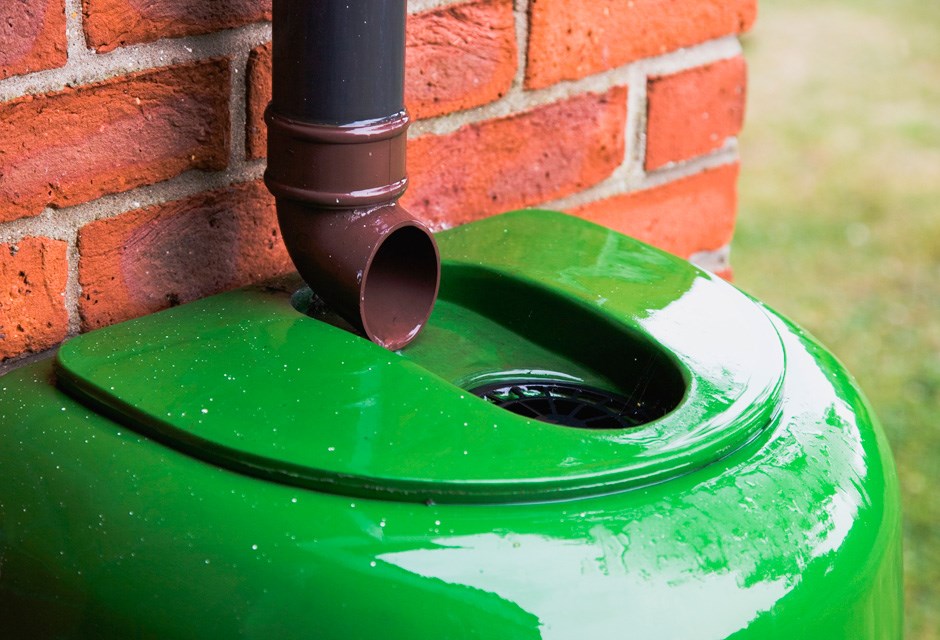 Collecting rainwater outside in a green container