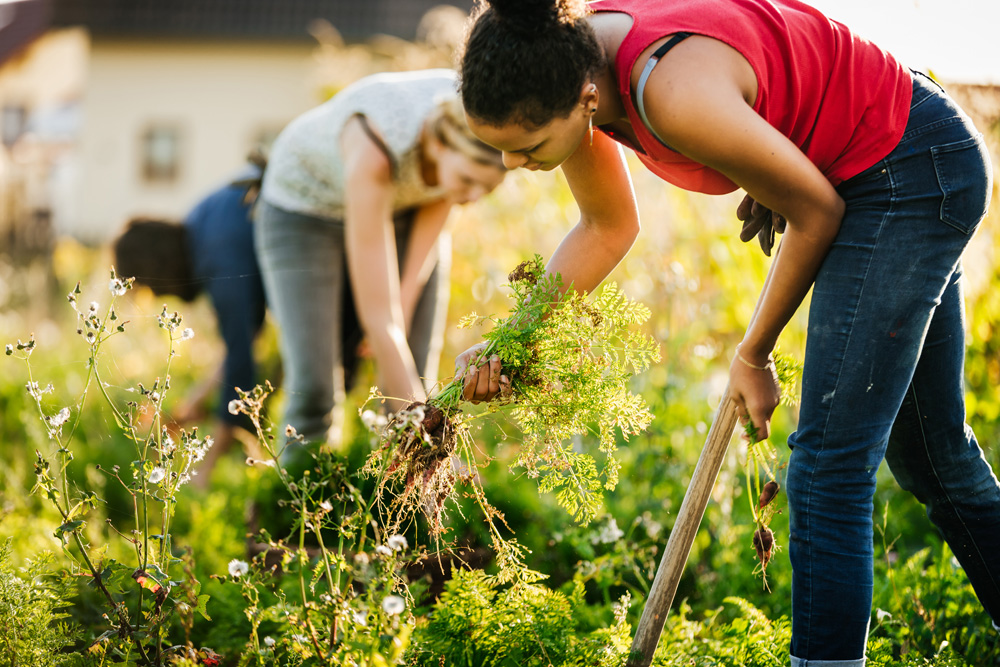 Family working in the garden