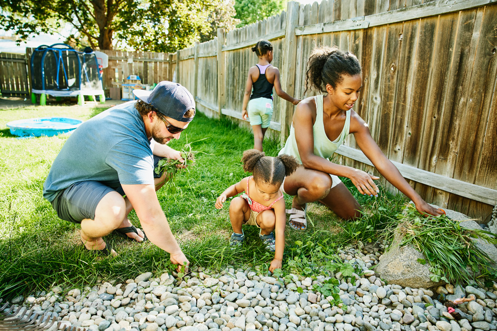 Family weeding their yard