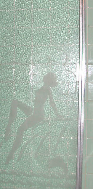 Etched Glass Shower Doors