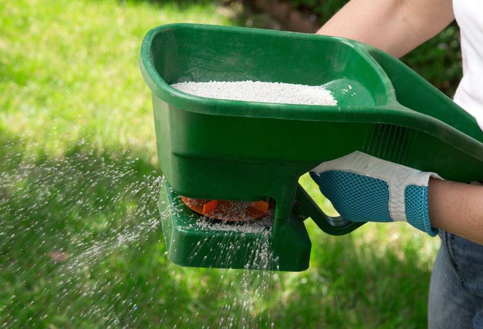 3. Fertilize Your Lawn