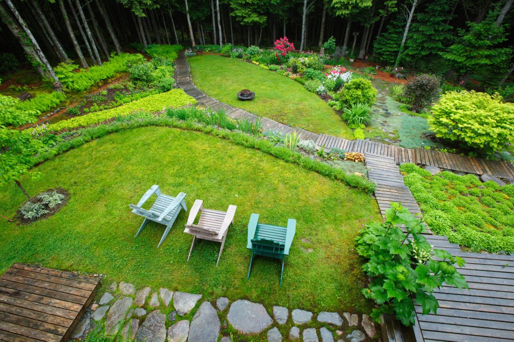 Backyard garden