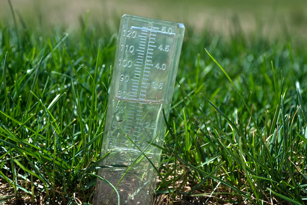 Rain guage on a lawn