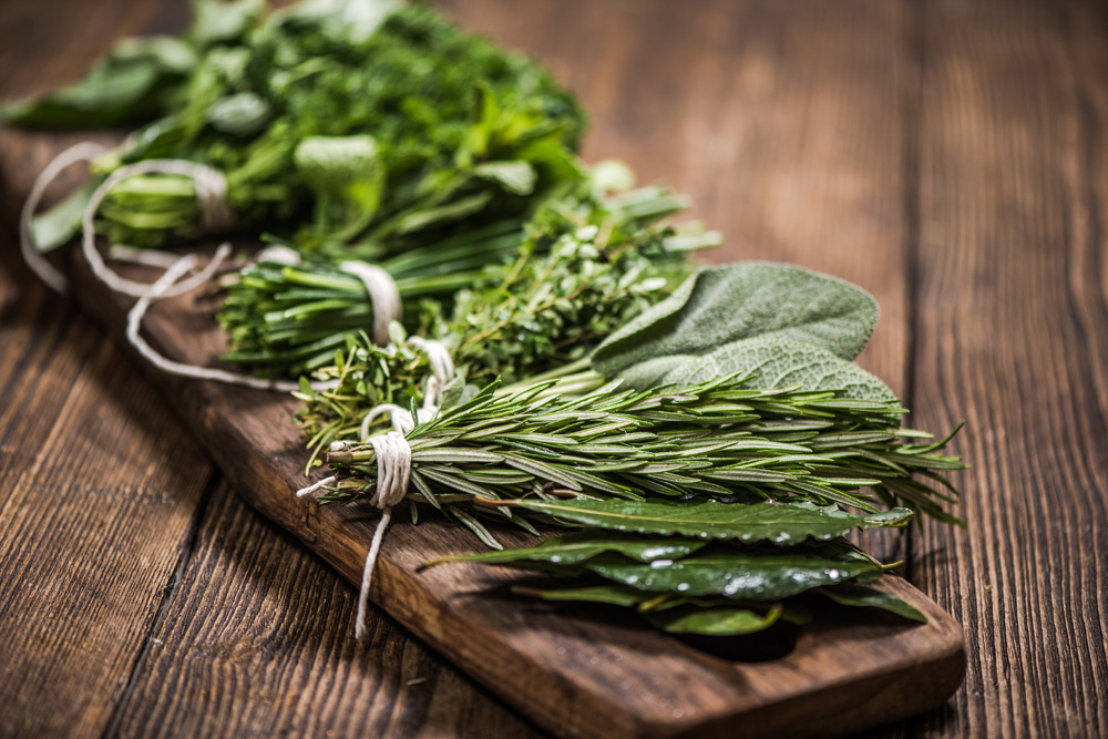 A sampling of herbs