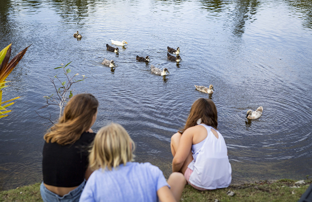 The Baeumler children by the pond