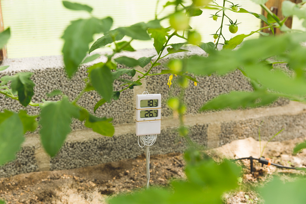 Thermometer in a greenhouse