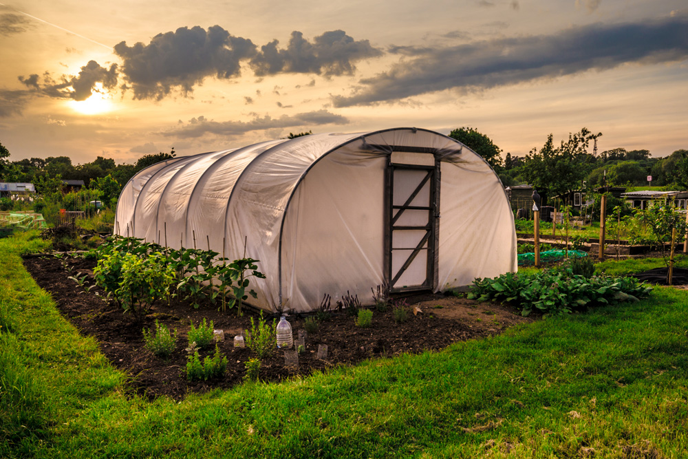 Large greenhouse