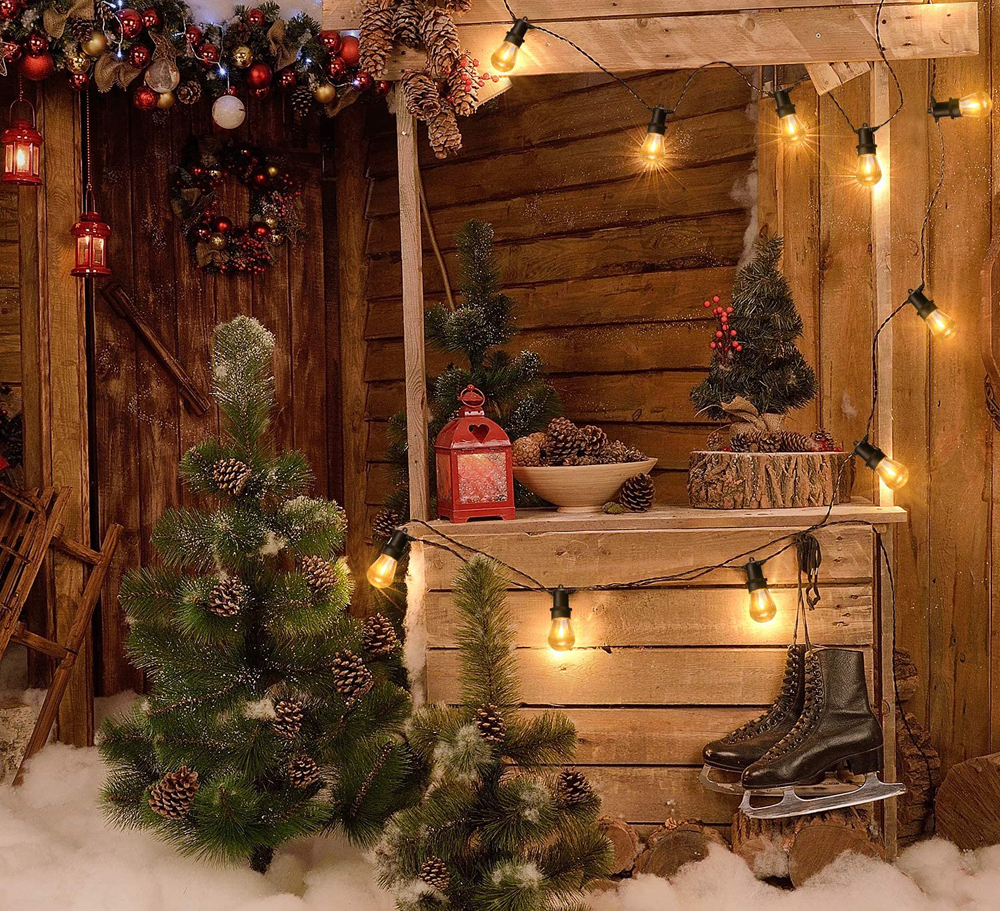 outdoor string lights in a backyard