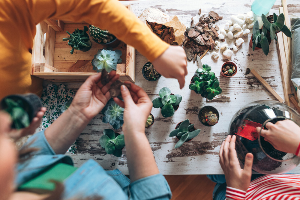 People re-potting plants