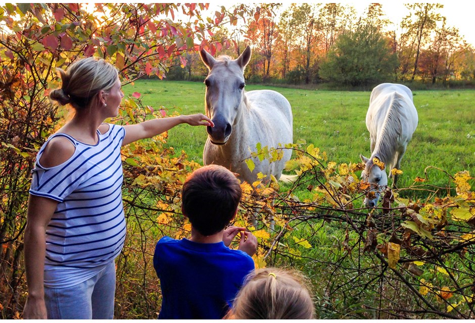 A pregnant Sarah visits a horse farm with her two kids