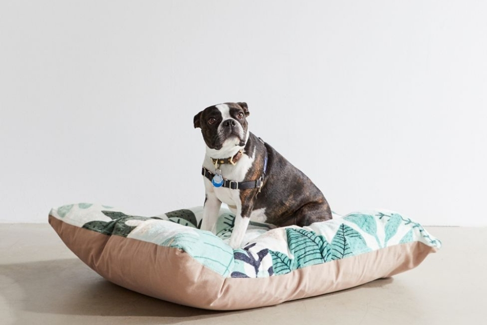 A large brown and white dog is sitting on a tan and white dog bed with green tropical leaves.