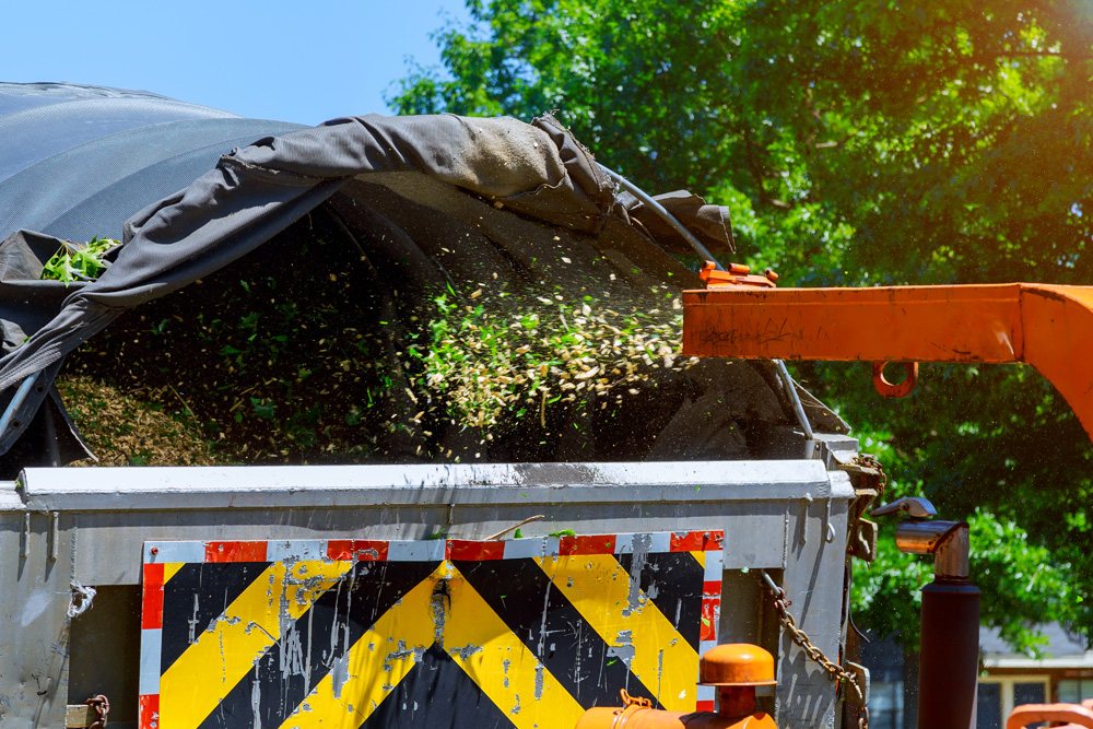 Chipping wood into a truck