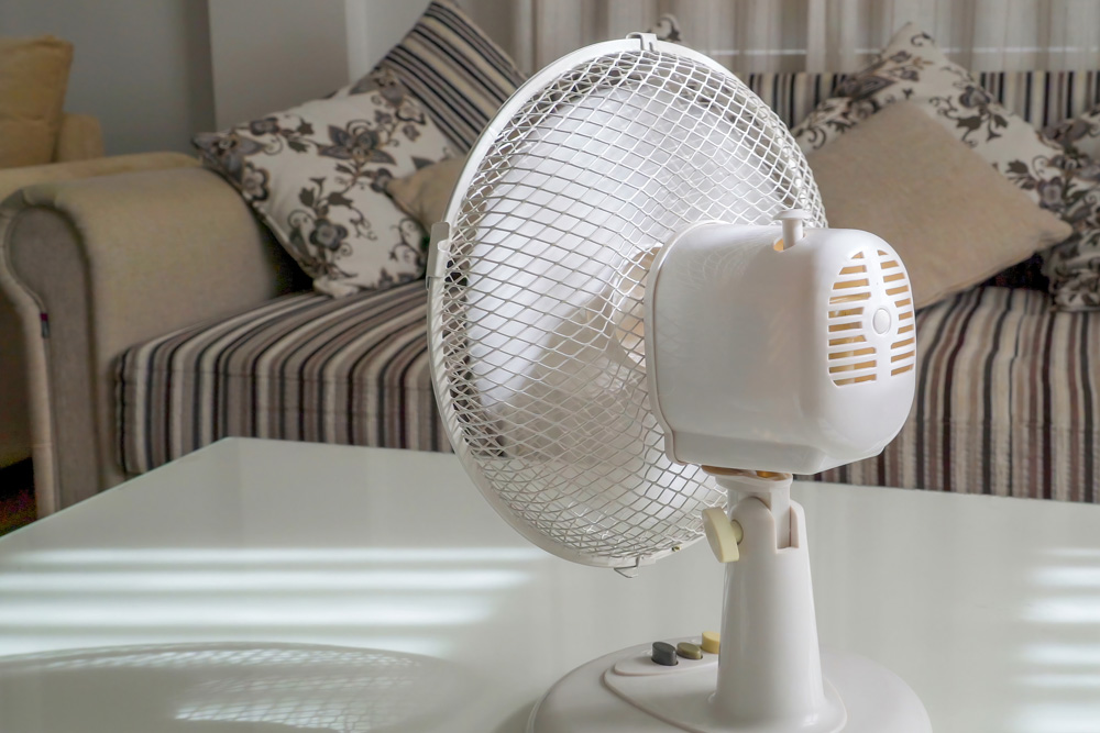 Fan in living area