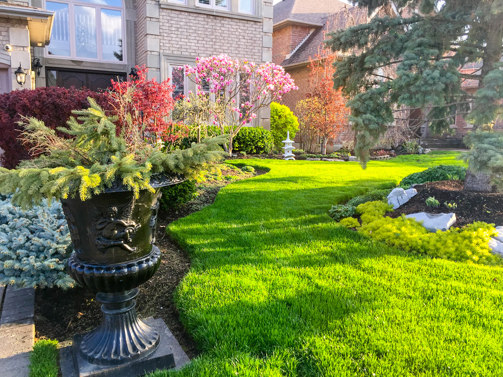 Landscaped yard