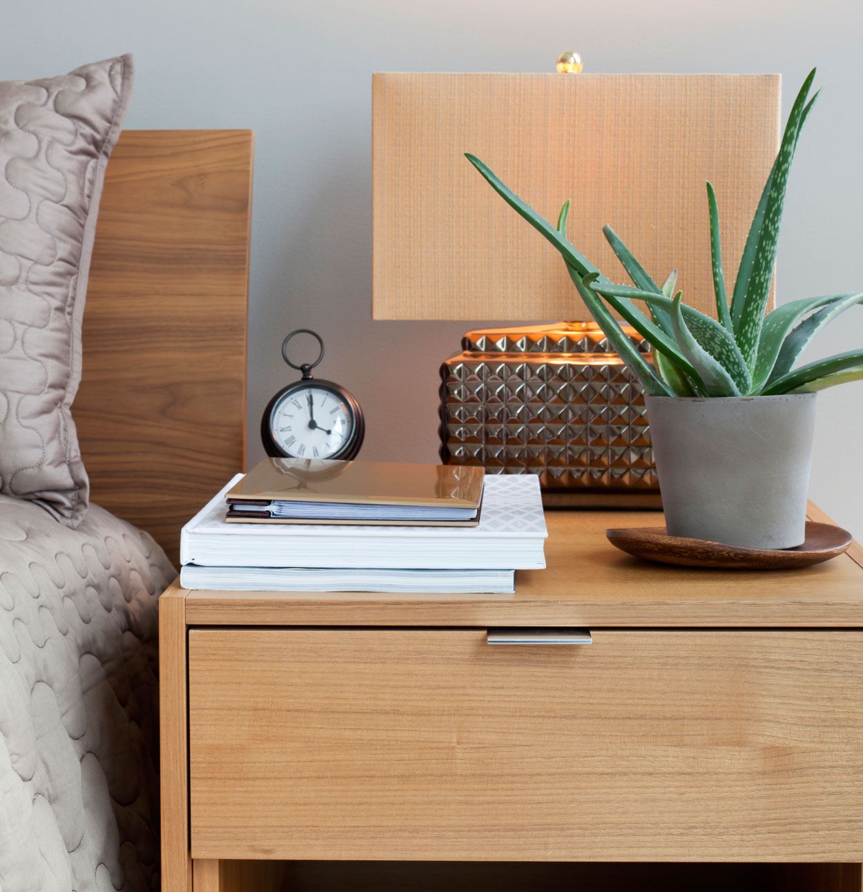 Aloe vera plant on bedside