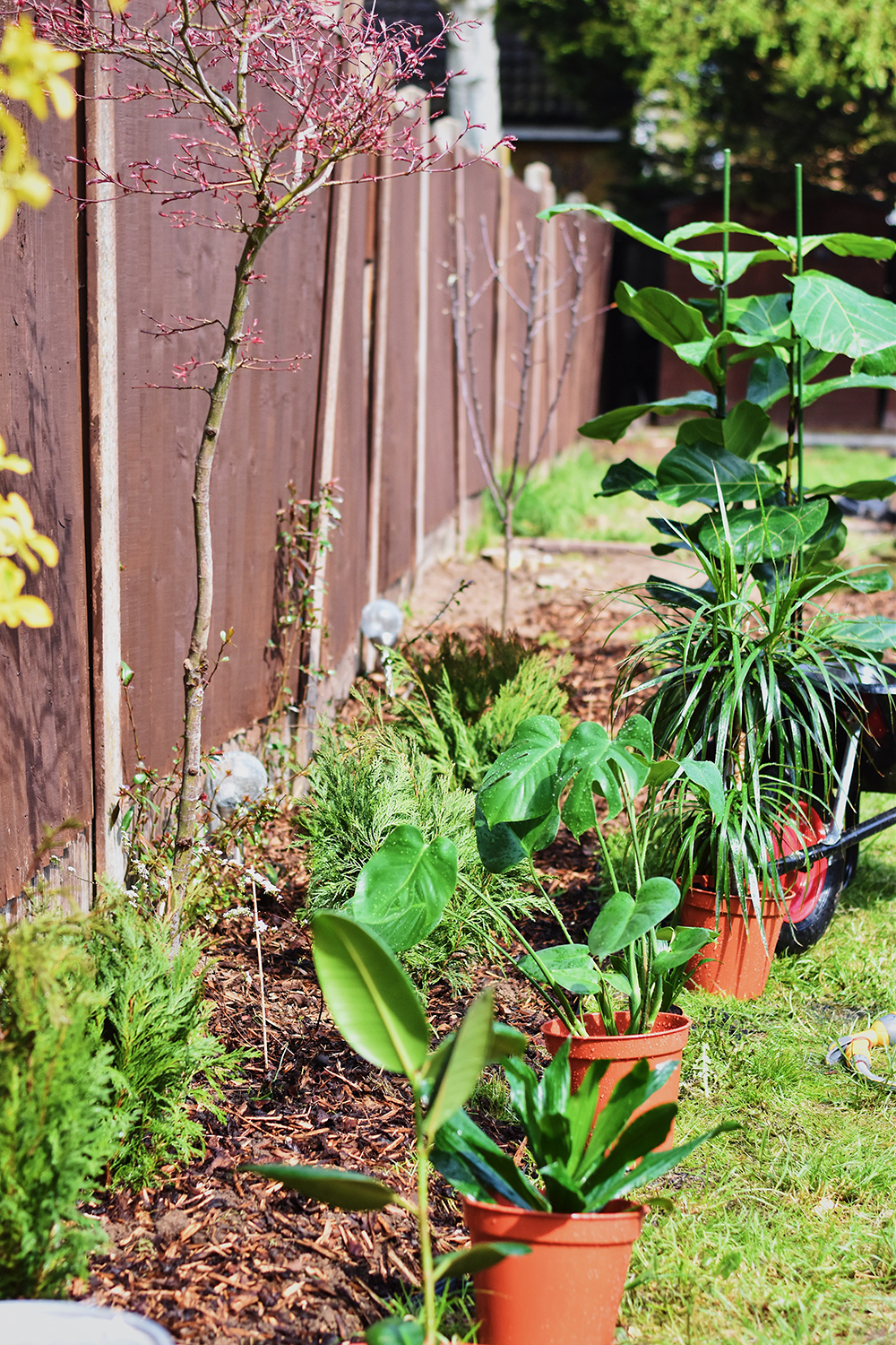 A backyard fence with various tropical plants in front of it.