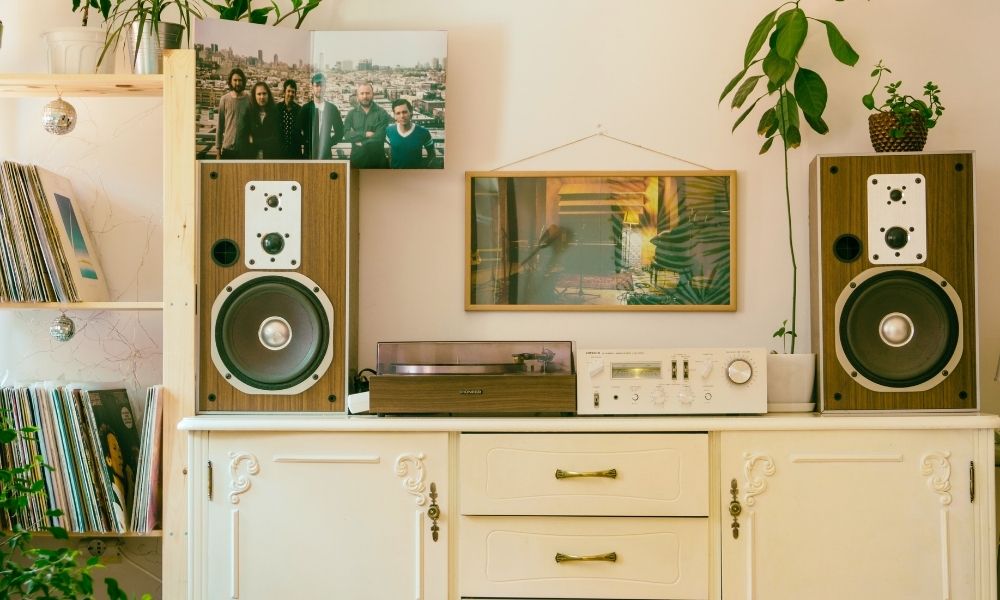 Entertainment console with plant arrangement