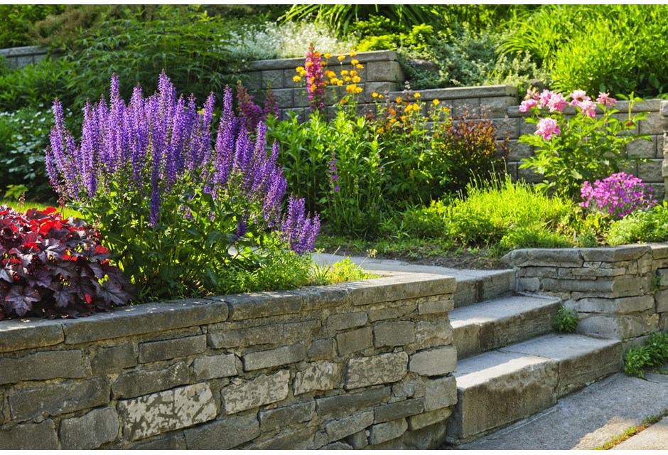 Backyard with layered steps and plant levels