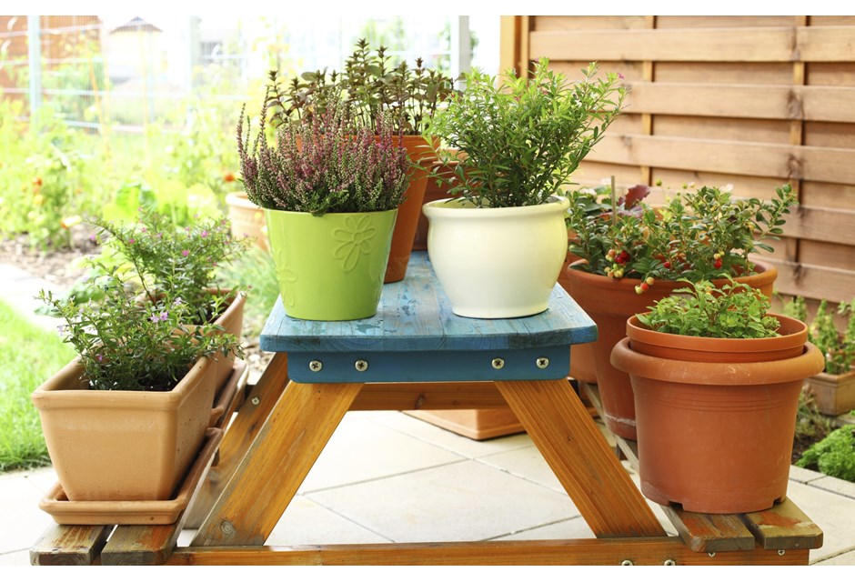 Potted plants clumped together at various height levels