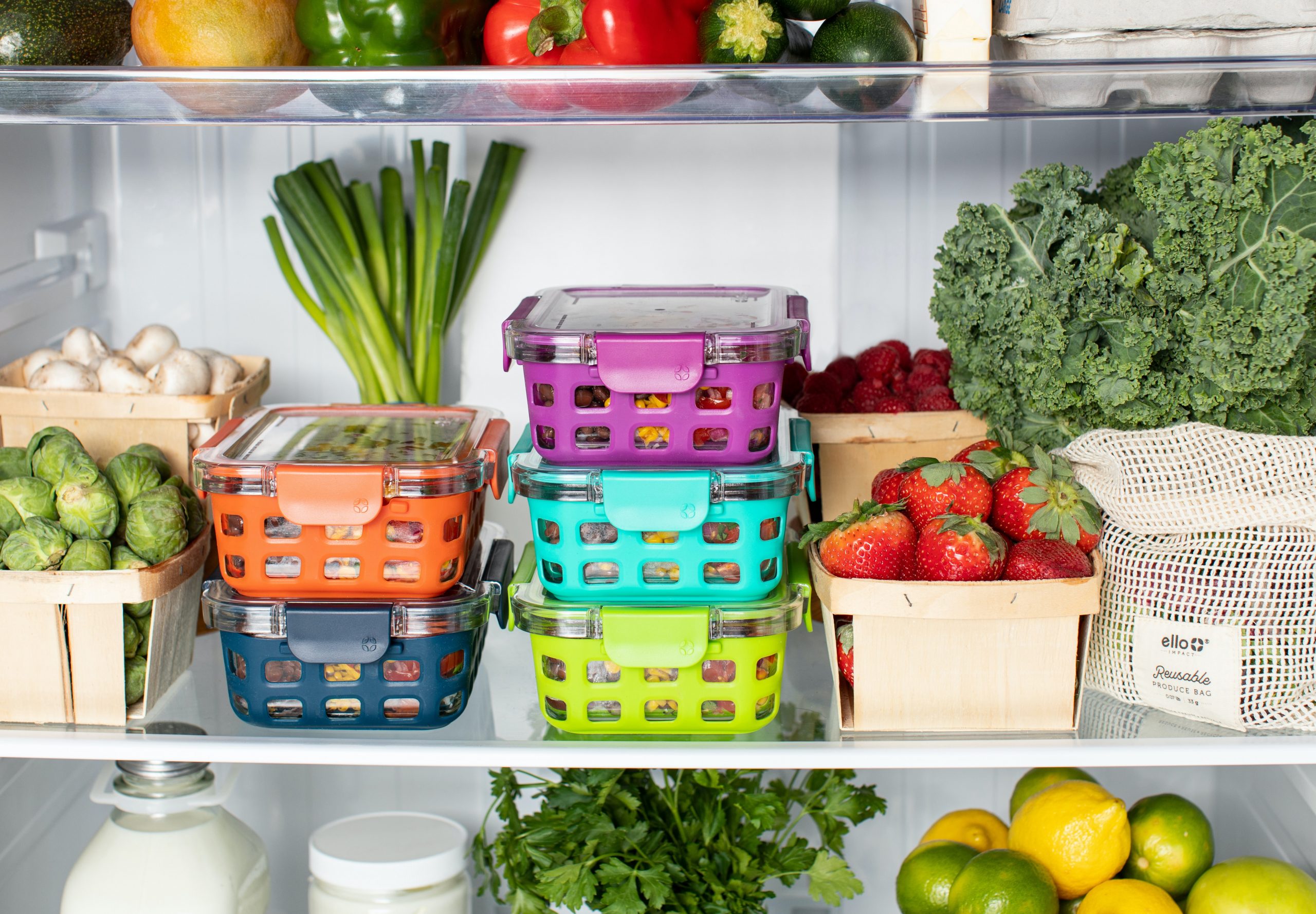 Fridge full of food