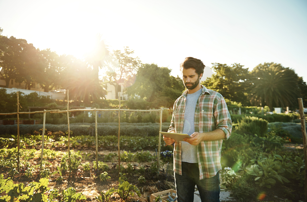 man looking at tablet standing in garden